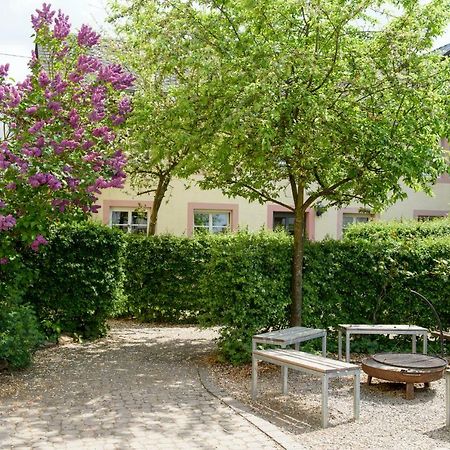 Nengshof Ferienwohnungen Mohnblume Und Kornblume Wißmannsdorf 外观 照片